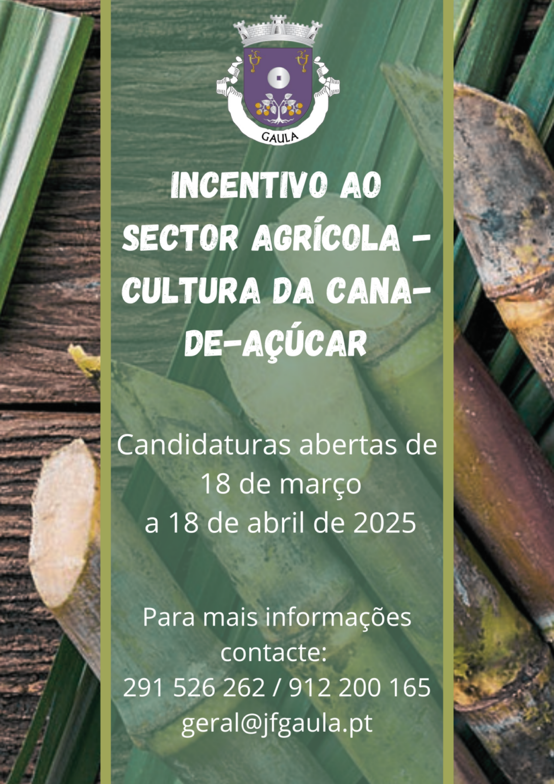 Incentivo ao Sector Agrícola – Cultura da Cana-de-Açúcar – Junta de ...