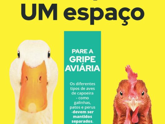 Thumbnail for the post titled: Mantenha a gripe aviária FORA                       UMA espécie, Um espaço